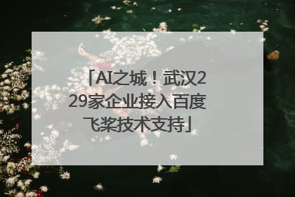 AI之城！武汉229家企业接入百度飞桨技术支持
