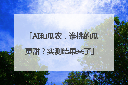 AI和瓜农，谁挑的瓜更甜？实测结果来了
