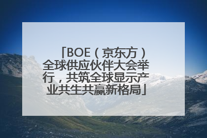 BOE（京东方）全球供应伙伴大会举行，共筑全球显示产业共生共赢新格局