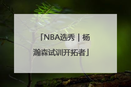 NBA选秀｜杨瀚森试训开拓者