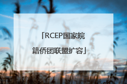 RCEP国家皖籍侨团联盟扩容